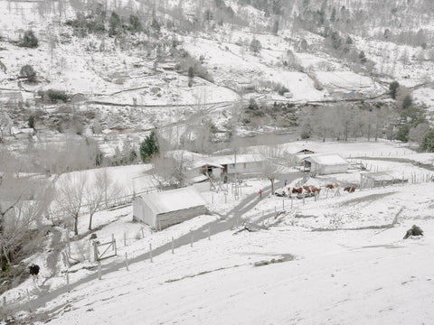 Marco Zegers • Paisaje Region Reigolil 1