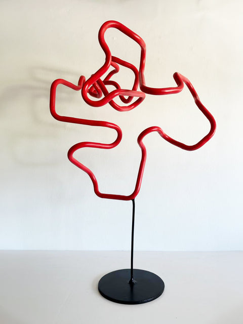 David Cofré • Trayectorias II