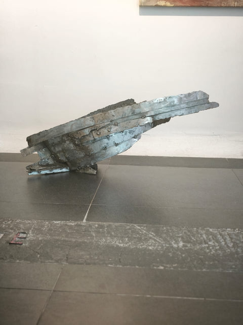 María José Vicuña • Varadura