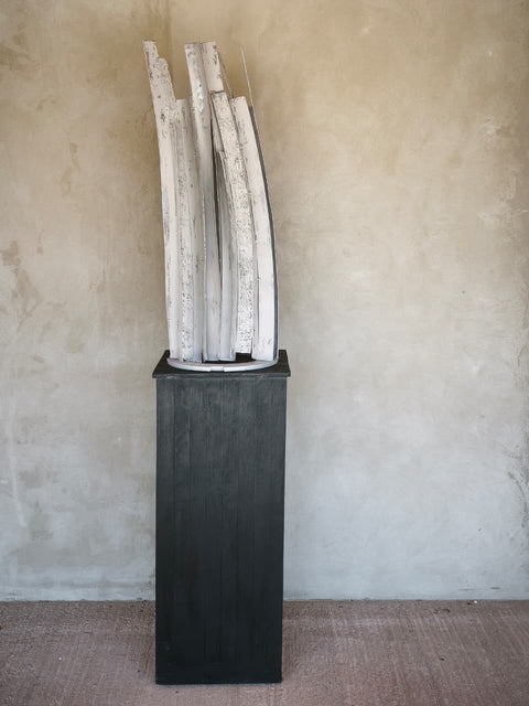 María José Vicuña • Exuvia