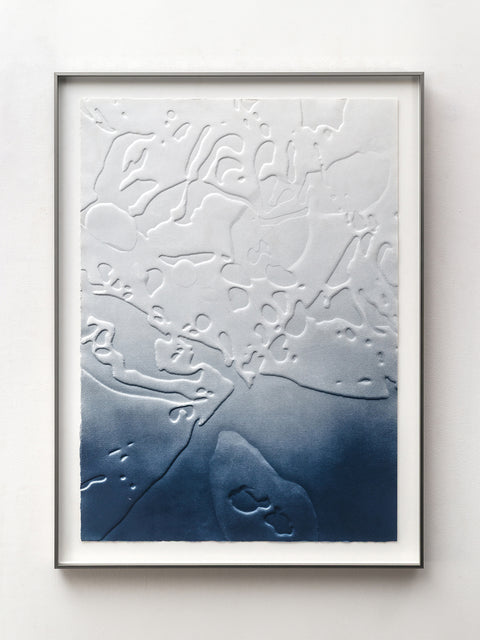 Aparalius • Morfologías del borde I