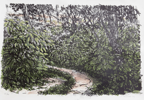 Ernesto Barreda • Sendero