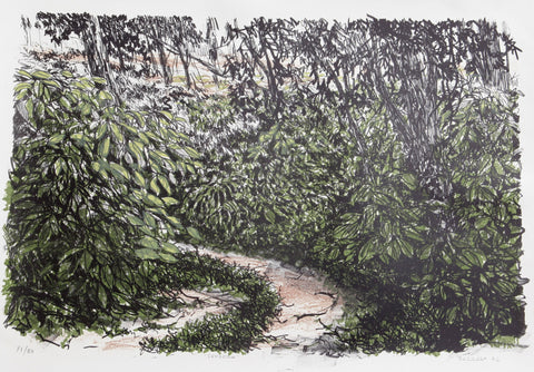 Ernesto Barreda • Sendero