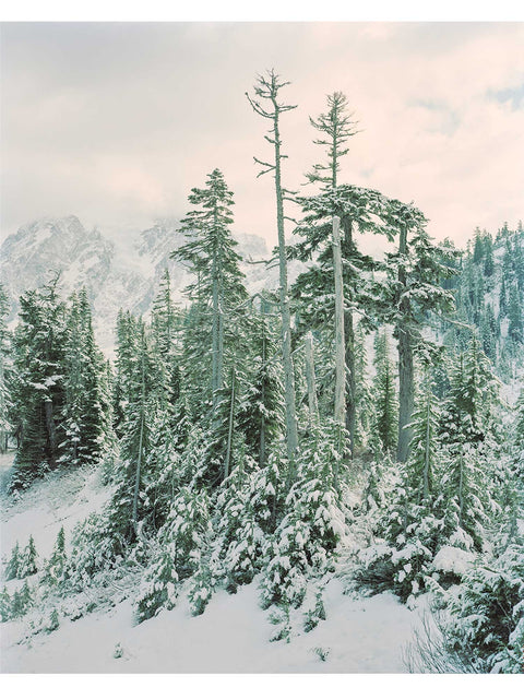 Bruno Giliberto • Landscape 05