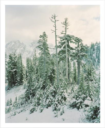 Bruno Giliberto • Landscape 05