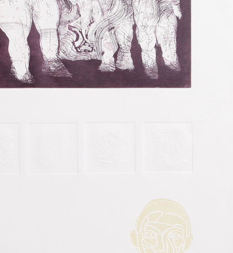 Gonzalo Cienfuegos • El herbarista