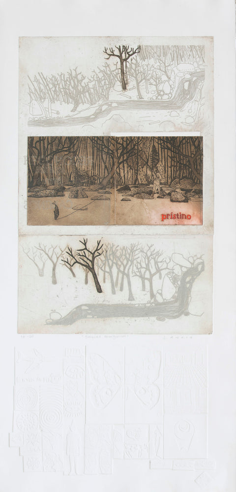 Jorge Lankin • Bosques Patagónicos