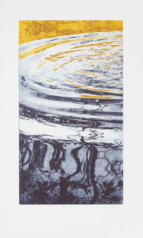 Patricia Claro • Notas de Agua I
