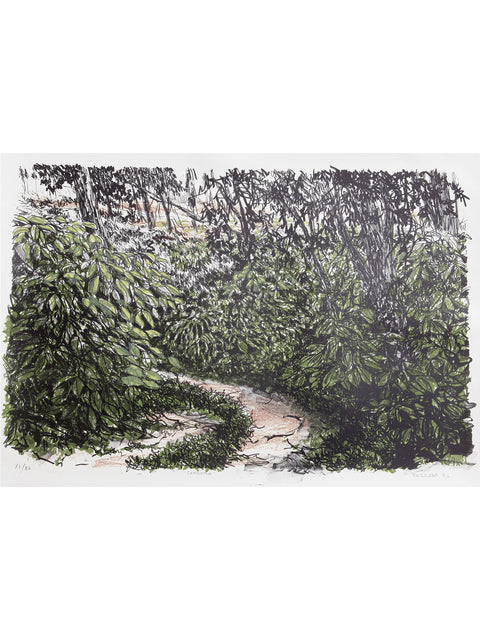 Ernesto Barreda • Sendero