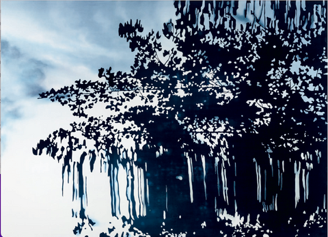 Patricia Claro • Febrero 12