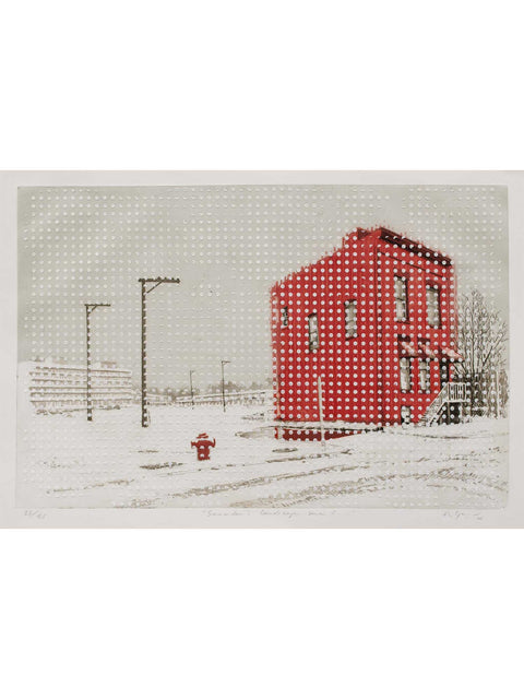 Hernan Gana • Snowden's Landscape I