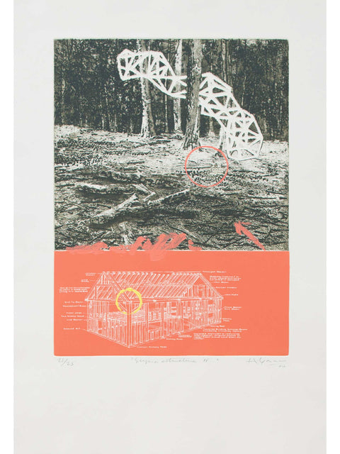 Hernan Gana • Supra estructuras IV