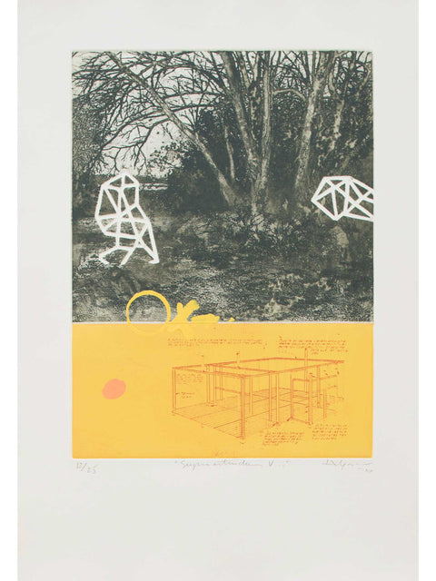 Hernan Gana • Supra estructuras V - Romano