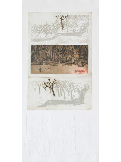 Jorge Lankin • Bosques Patagónicos