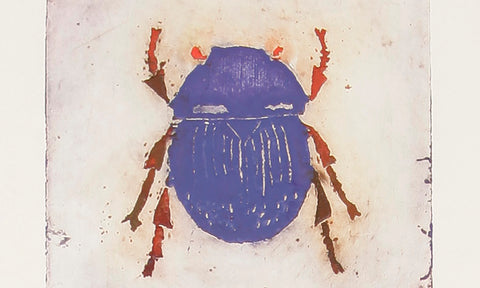 Jorge Lankin • Insectos