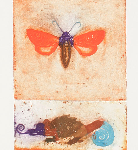 Jorge Lankin • Insectos