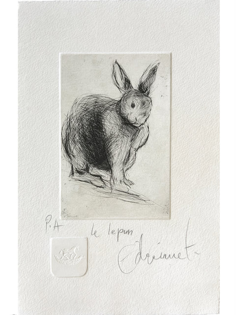 Alfredo Echazarreta • Le lapin (Serie bestiario)