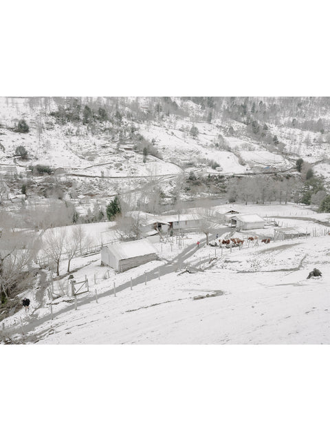 Marco Zegers • Paisaje Region Reigolil 1