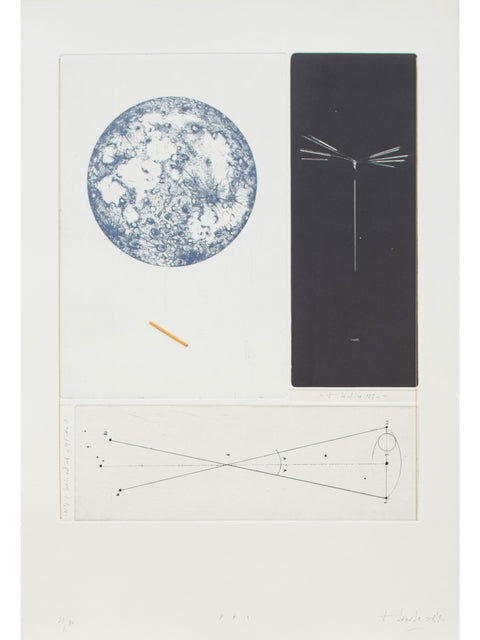 María Edwards • /