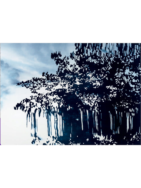 Patricia Claro • Febrero 12