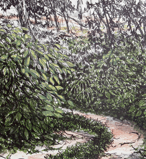 Ernesto Barreda • Sendero