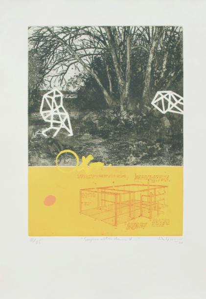 Hernan Gana • Supra estructuras V - Romano