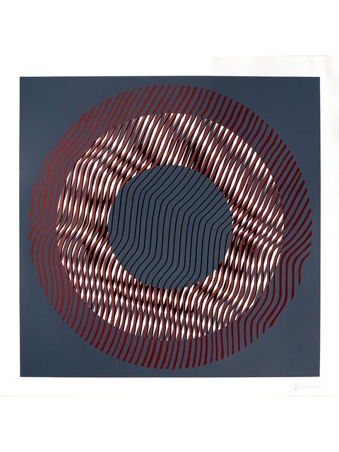 Liliana Iturriaga • Concentrico II