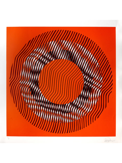Liliana Iturriaga • Concentrico I
