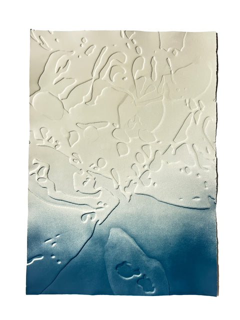 Aparalius • Morfologías del borde I