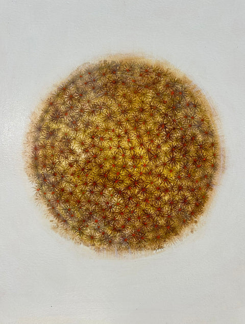 Paz Irarrazaval • Dandelion