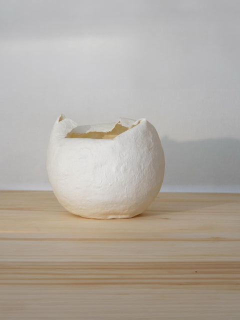Francisca Charlin • Del aire, su forma XIV