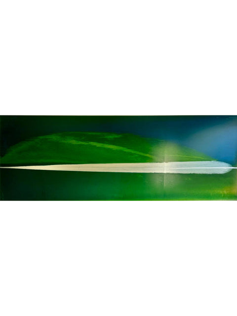 Fernando Cifuentes Soro • La pluma