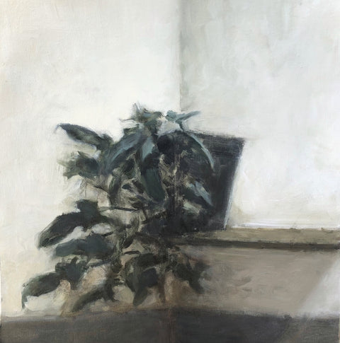 Pablo Contreras • Rincón