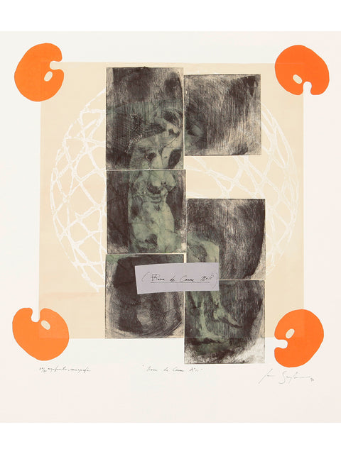 Ian Szydlowski • Rosa de carne