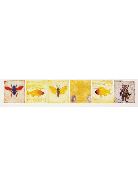 Jorge Lankin • Animal