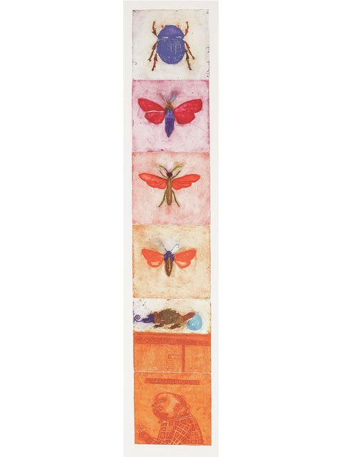 Jorge Lankin • Insectos