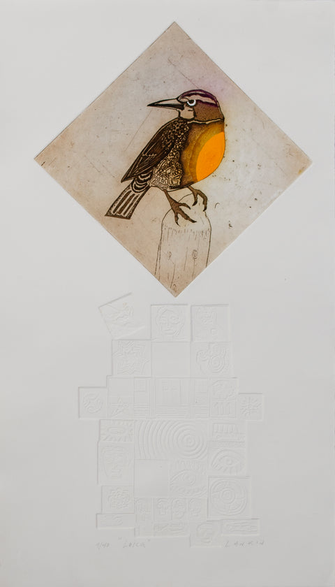 Jorge Lankin • Loica