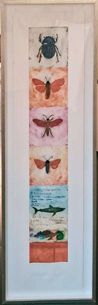 Jorge Lankin • Insectos