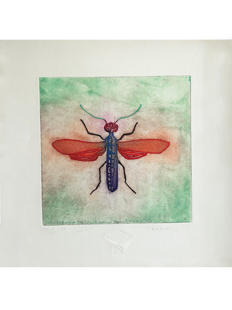 Jorge Lankin • Libélula