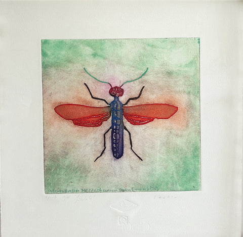 Jorge Lankin • Libélula