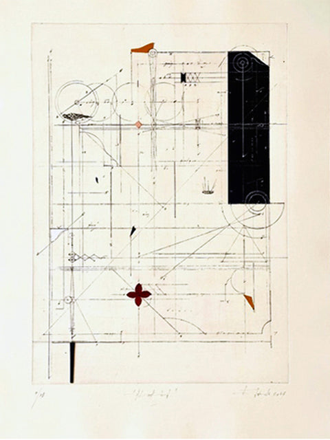 María Edwards • Black bird