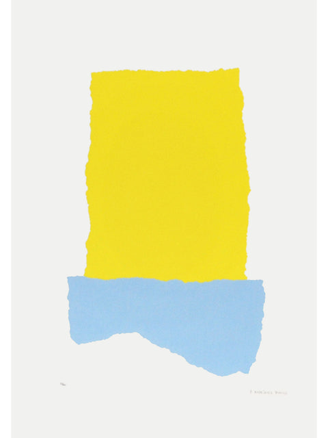 Pablo Rodríguez Blanco • Color local IV amarillo/celeste