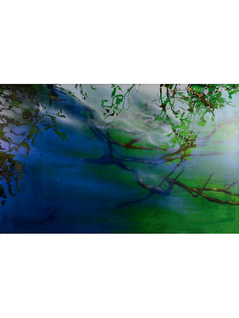 Patricia Claro • Reflejo involuntario VI