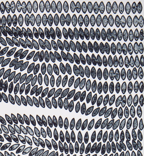 Francisca Sutil • Mute 7