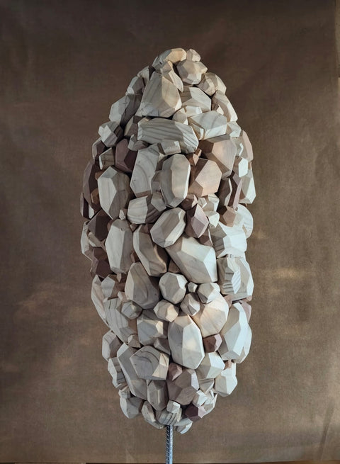 David Cofré • Semilla