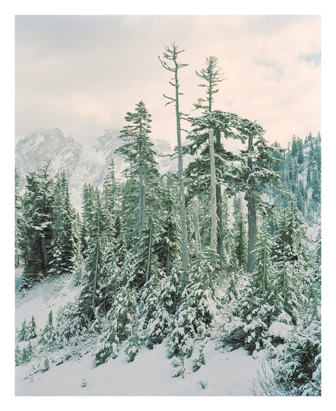 Bruno Giliberto • Landscape 05